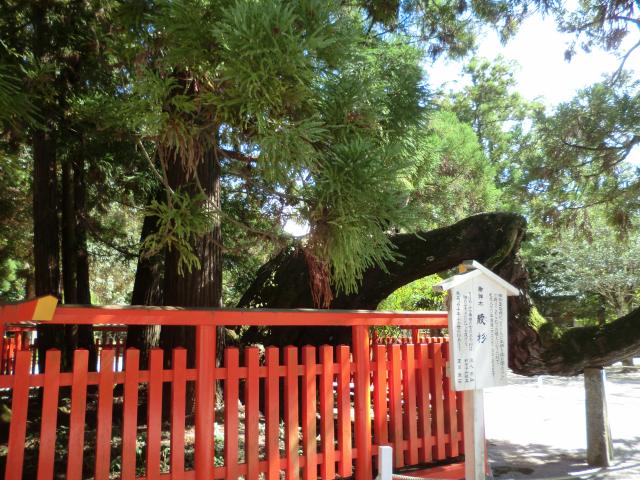 画像: 窪山 比呂志税理士事務所(福岡県福岡市東区 香椎2丁目2番6号エスポワール香椎504号)