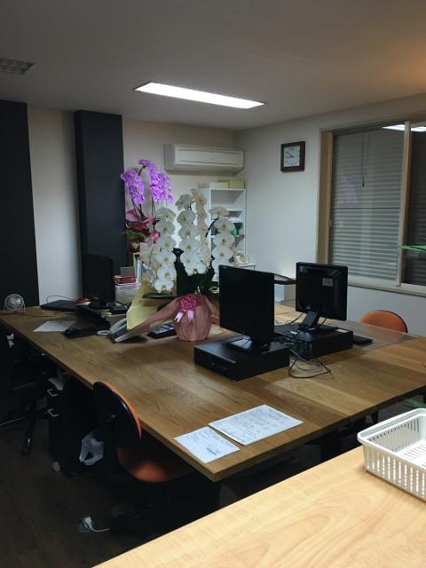 画像: 税理士法人白井会計(千葉県木更津市東太田4丁目1番7号)