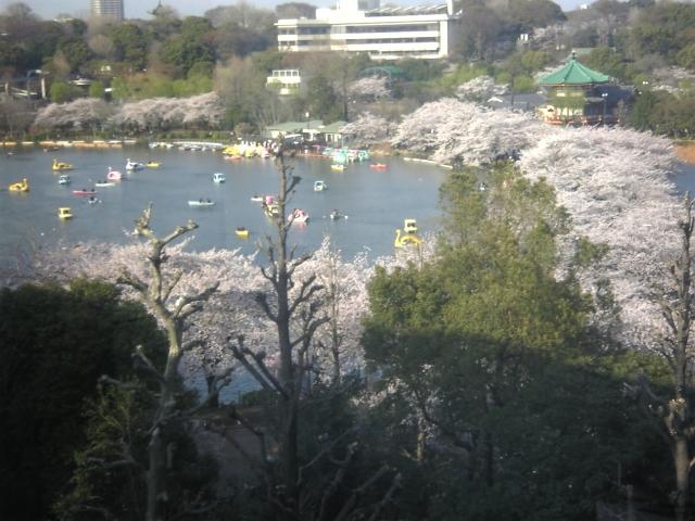 画像: 加門成昭税理士事務所(東京都練馬区栄町26番4号)