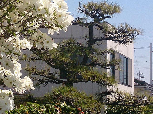 税理士法人曲直瀬会計