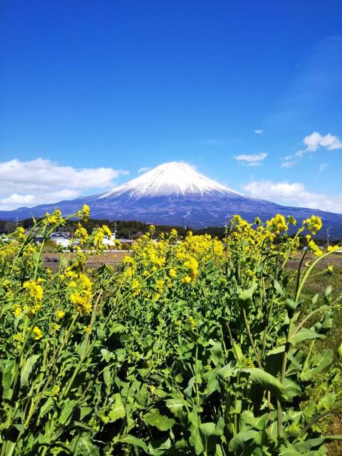 画像: 神山昌子税理士事務所(大阪府高槻市今城町15番5-1504号)