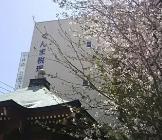 画像: ぐんま税理士法人(群馬県高崎市下横町10番地6)