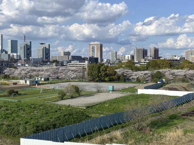 画像: 松本眞一税理士事務所(埼玉県さいたま市中央区 鈴谷9丁目3番10-503号)