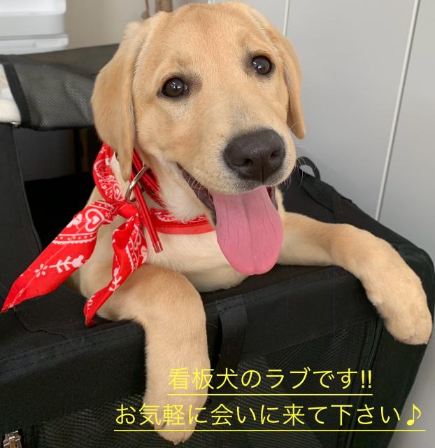 画像: 廣瀨雅俊税理士事務所(愛知県名古屋市中村区 鳥居西通2丁目6番第2エスビル2階)