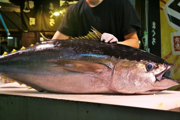 すしざんまい、「一番マグロ」史上最高値5.1億円は「仕入」か「広告費」か？ 税理士が解説