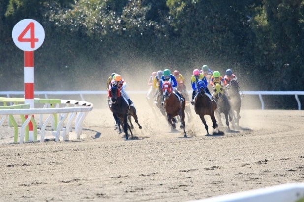 一口馬主の赤字で「節税できる人」と「できない人」の決定的な違いとは?「所得区分の壁」に要注意