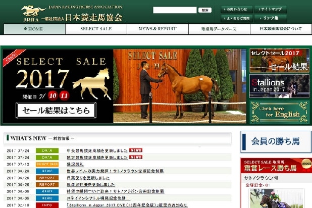 DMMが良血馬を次々落札、競馬事業参入へ　「一口馬主」になると節税になる？