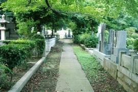 増税は死後まで追いかけてくる!? 「死亡消費税」ってどんなもの?