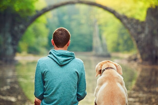 殺処分のない「ペット天国」ドイツ、「犬税」にみる犬と社会のよりよい関係