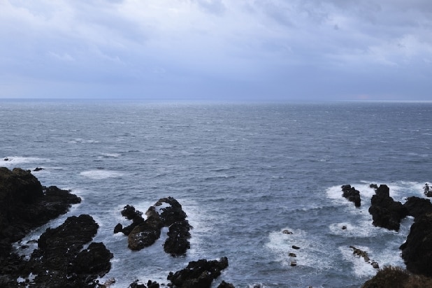 日本海に流れ着く「謎の遺体」、火葬する自治体は悲鳴…官報掲載「行旅死亡人」の背景