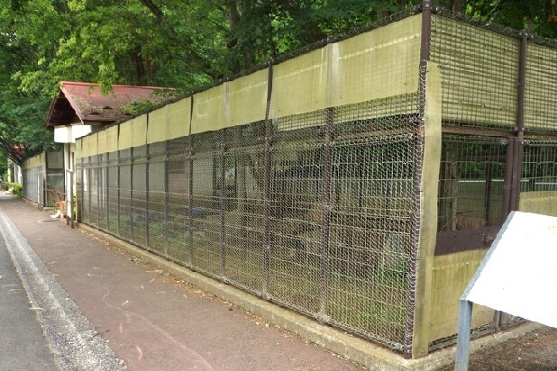 「開園時がピーク」から脱却へ、閉園崖っぷち「盛岡市動物公園」再生プロジェクトが始動