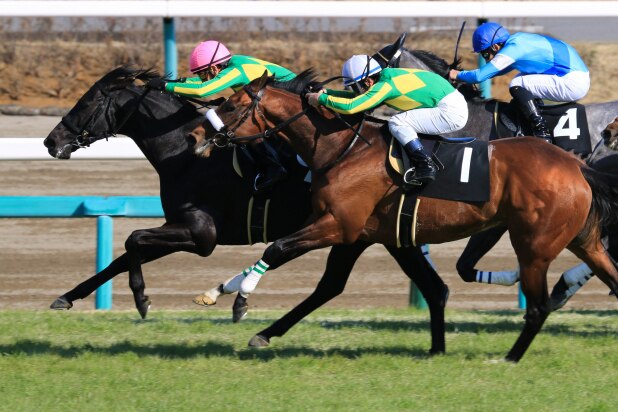 競馬界で「持続化給付金」1億円超の不正受給か　なぜこんなに起きる？