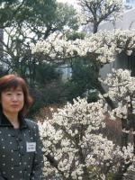 画像: はなだ会計事務所(兵庫県尼崎市御園町35番 マルト尼崎ビル7C)